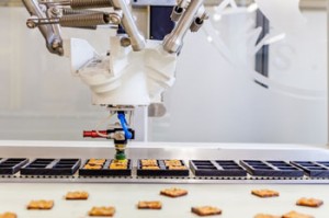 Food industry robot vision