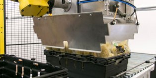 Robot solves vertical tray packing challenge