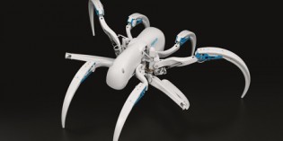 New bio-inspired robotic concepts from Festo