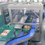 Robotic packer at the ‘core’ of apple producer’s automation Robotic packer at the ‘core’ of apple producer’s automation