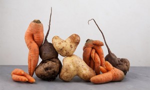 Packers and processors need to adapt to wonky veg