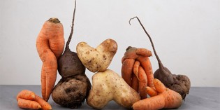Packers and processors need to adapt to wonky veg