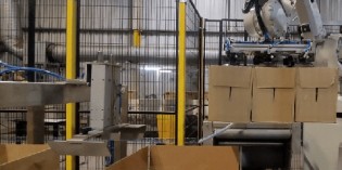 Robotic case packing system for pet food