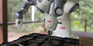 Robot automates Amazon reforestation project