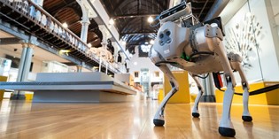 Robot guide dog heralds new assistive technologies