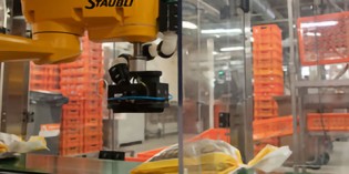 Vision guided robotics solves packaging challenge