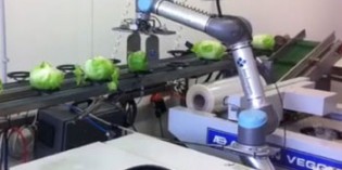 Lighter robot offers longer reach and bigger payload
