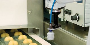 Robots help food processors future proof their plants