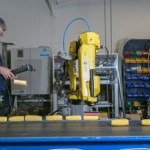 FANUC robot picks sweetcorn cobs quickly