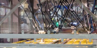 FANUC robots boost production at waffle plant