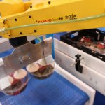 Packpacker shows case loading at Foodex