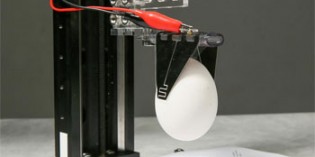 EPFL developes gripper for delicate objects