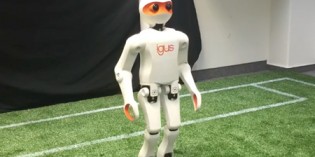 Igus develops open humanoid robot platform