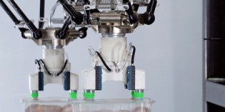 Automation can soften the impact of a hard Brexit