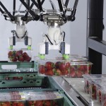 Brillopak outlines opportunities with robotics