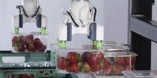 Brillopak outlines opportunities with robotics