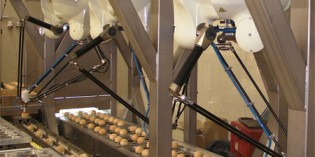 Food and beverage solutions at Automatica 2018