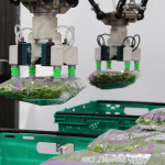 Lessons learned from automation leaders and robot laggards