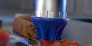 Gripper for irregular shapes and delicate items