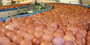 Robot palletiser increases throughput and reduces costs