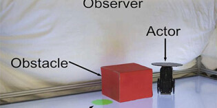 Robot predicts how partner will behave