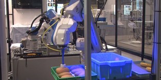 Tips for choosing a 3D vision system in robotic automation