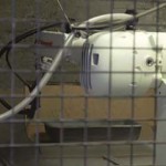 Robotic sprayer increases consistency, reduces waste