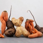 Packers and processors need to adapt to wonky veg