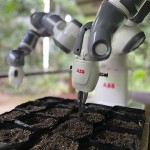 Robot automates Amazon reforestation project