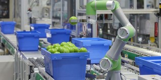Enhancing value through integrated robotics