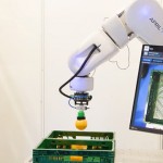 Automation and robotics in food manufacturing